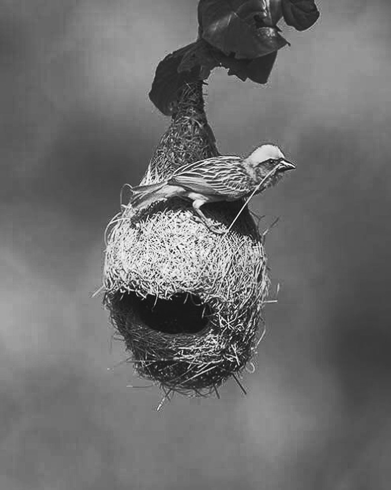 Projects snapinsta.to 459426571 400616572770720 944791316290325763 n